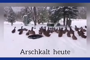 Es hat geschneit