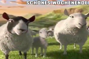 Schönes Wochenende