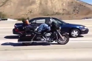 wenn er bremsen muss ist der Harley Schl�fer schnell munter