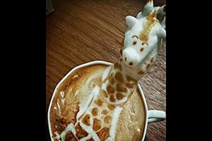 Tolle 3D Crema-Kreationen