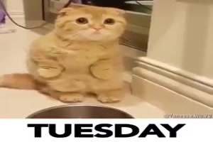 Die Woche in Bildern