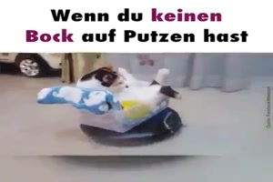 weiter