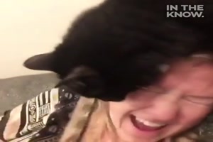 Katze mag nicht, wenn das Frauchen singt