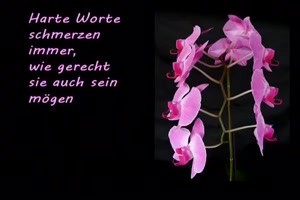 weiter