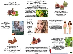War die verbotene Frucht ein Apfel?