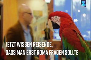 roter Papagei mit Visionen