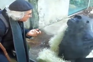 Gespr�ch mit dem Affen