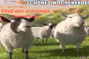 weiter