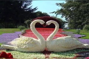 Figuren aus Blumen gemacht