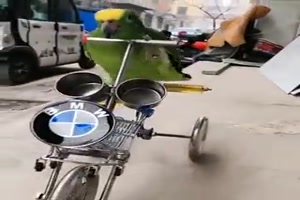 Lustige Vgel