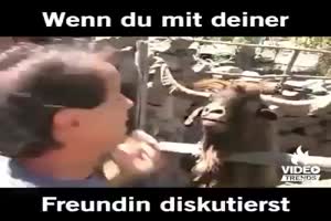 Wenn du mit deiner Freundin diskutierst
