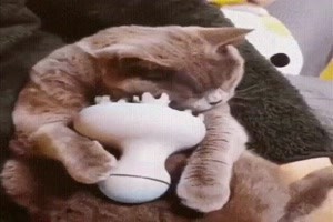 Kraulomat
