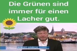 die Gruenen sind immer fuer einen Lacher gut