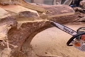 was man aus einem Baumstumpf alles machen kann
