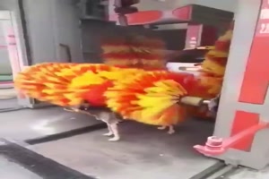 Er braucht auch Abkuehlung