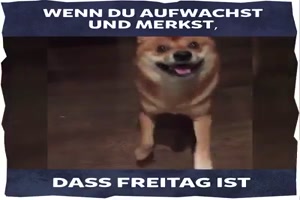 weiter