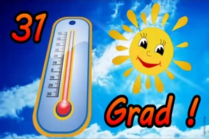 31 Grad