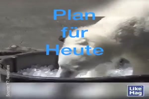 weiter