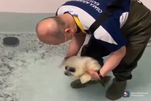 Das erste mal im Wasser