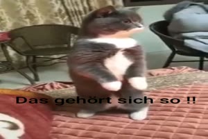 Das geh�rt sich