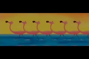 Flamingo- Tanz