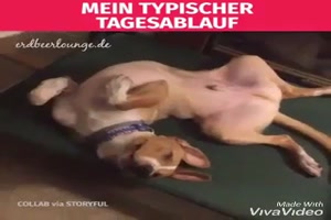 weiter