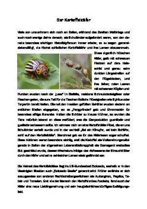 weiter