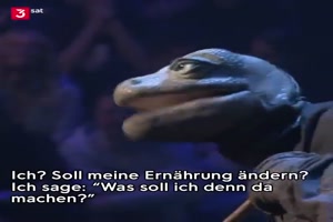 Die Echse