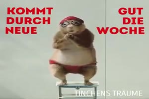 Kommt gut durch die neue Woche