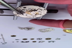 Ich wrde diese Uhr nie wieder zusammenbekommen