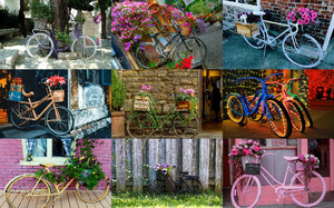 Bikes with Task 1 - Fahrrder mit Aufgabe 1