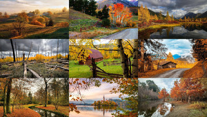 Beautiful Autumn 10