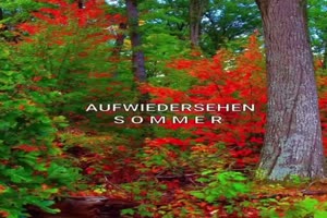 weiter