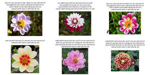 das hat alles Platz in eines Menschenherz. ...