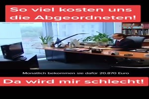 so viel kosten uns die Abgeordneten