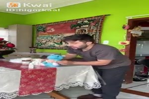 die Katze hat die Lektion schnell gelernt