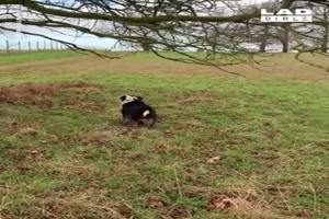 Mit dem Springen klappt es nicht so toll