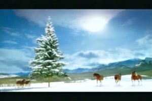 ClydesdaleSnowfight11