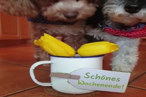 weiter