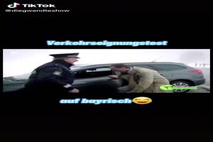 Verkehrseignunstest