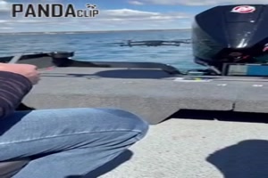 Das war ein kurzer Flug