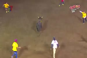 Idiot 2