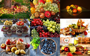 klicke hier, um die Datei herunterzuladen Autumn Fruits - Herbstfrüchte