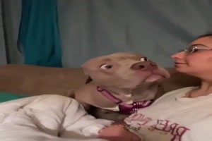 Bell mal deinen Hund an