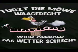 Furzt die Moewe