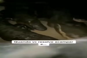 Bl�der Campingplatz