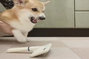 Aber erst mal Stress machen