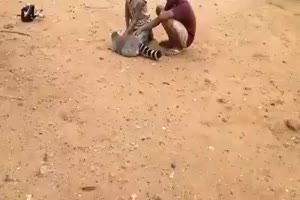 Das tut gut