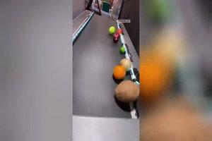 Fruechte-Rennen
