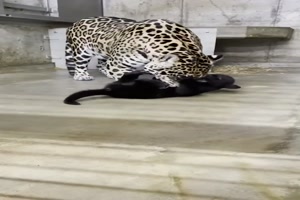 Erst mal ruhigstellen den kleinen Lauser